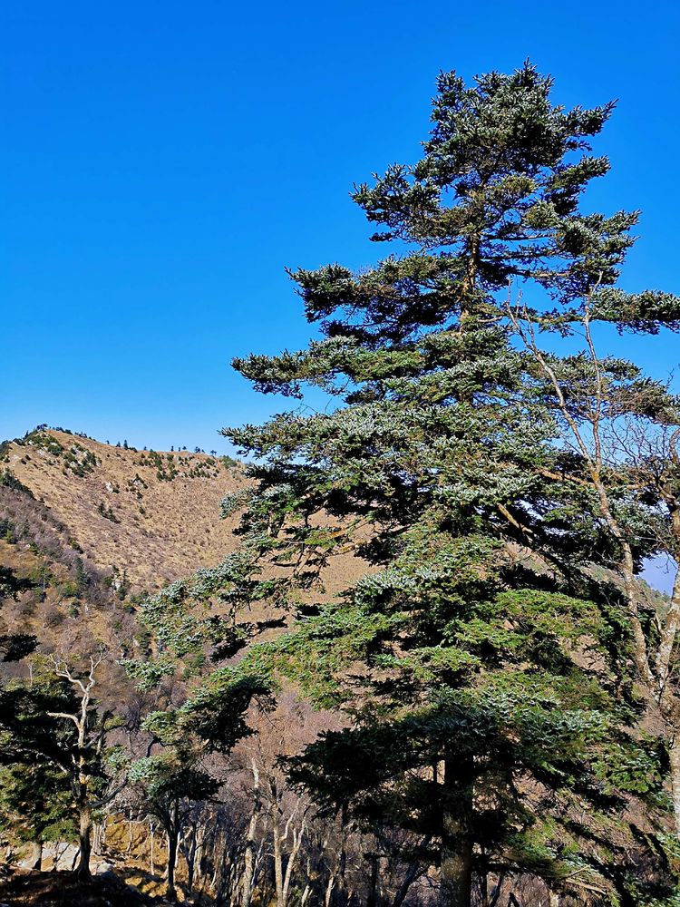 20201101惊悚之行~首阳山大坪梁单日横穿+原返