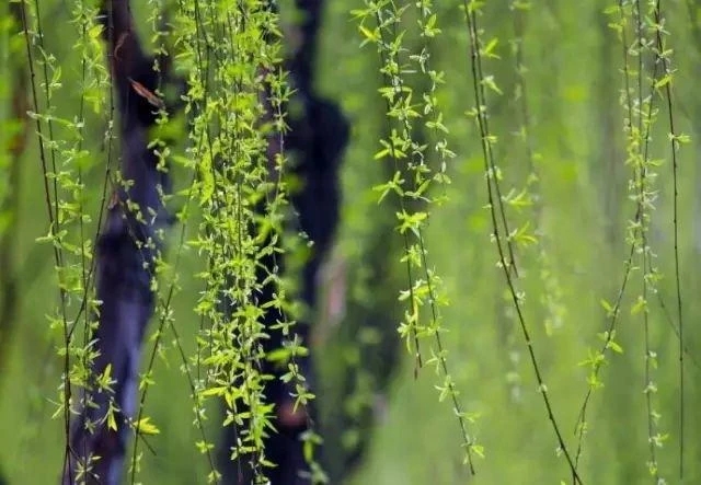 绑架幼女案件,绑架幼女案