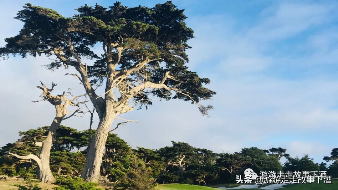 美国西部自驾圣地,美国冬季西部自驾游