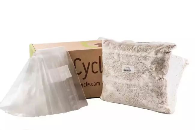 钩织蘑菇盆栽教程第四段,怎样培育蘑菇在家中