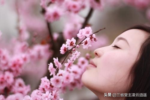 崔护名垂青史的一首诗,崔护人面桃花诗粤语