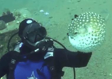 八年级液体压强题,八年级液体的压强的大小微课