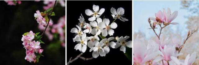 今日春分最新视频,今日春分时节