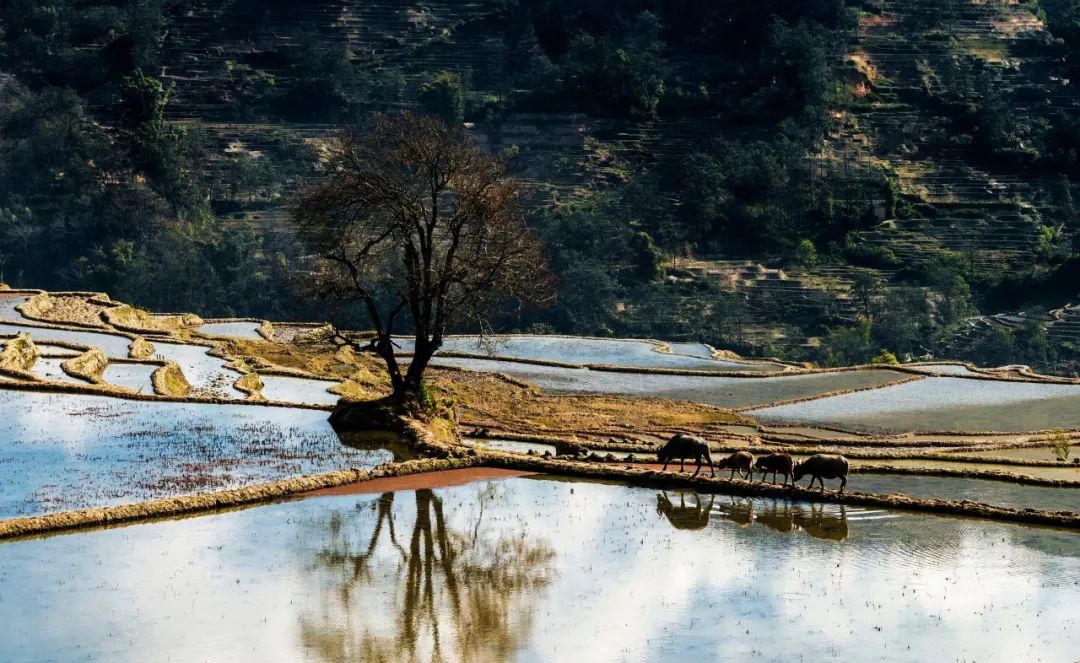 村居古诗是山水田园风光的诗词吗,山水田园风光的诗词村居