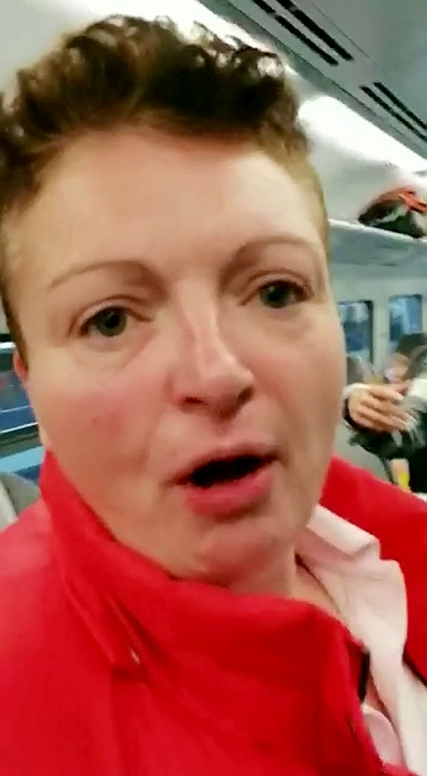 英国女列车上对3名黑人及亚洲人怒吼:给老娘说英语,快滚回老家