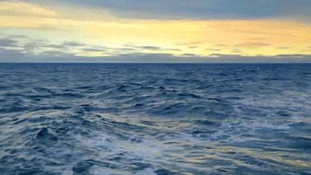 鐜嬪皬宸濇悳鐙楀綍闊崇瑪,鎼滅嫍ceo鐜嬪皬宸濆綍闊崇瑪