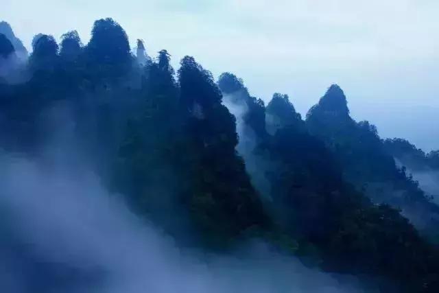 巴中南江要火了！入选国家生态示范县