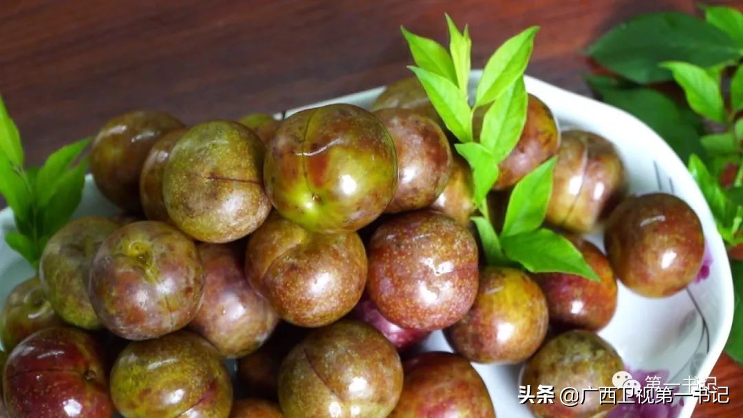 “仙草林”有什么致富宝？“罗曼粉”还可以下“金蛋.......