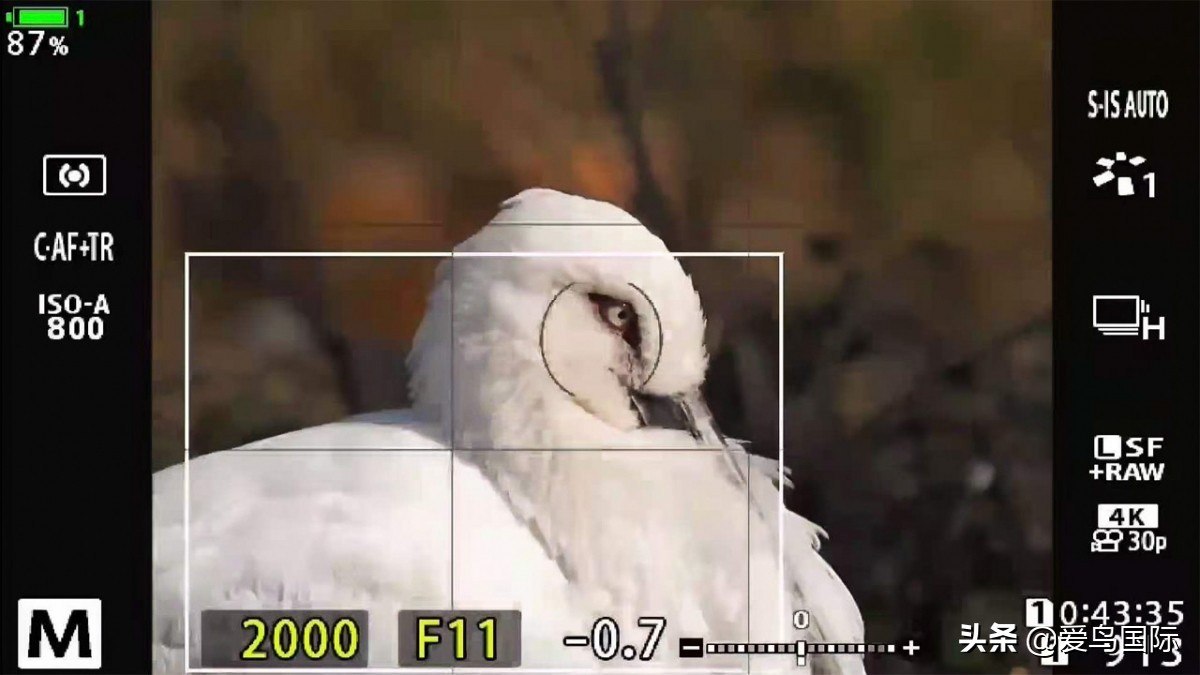 奥林巴斯单反全系列相机,奥林巴斯三千相机推荐