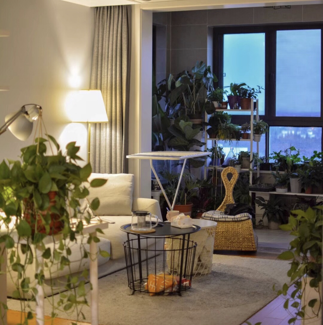 装修有经验与没经验,装修经验和陷阱