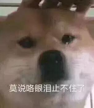 原来淘宝9.9包邮的地摊货和2000+的品牌货都出自同一家批发市场