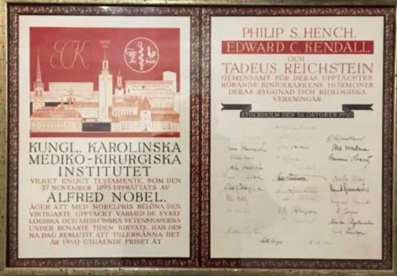 趣味科学丨类风湿关节炎的前世今生（上）