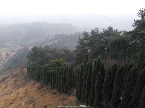 武昌鱼为什么闻名,武昌鱼的来历典故导图