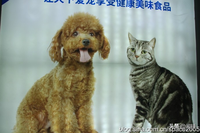 “走绿美邢襄看古城新变”百家自媒体走邢襄之三华兴宠物食品