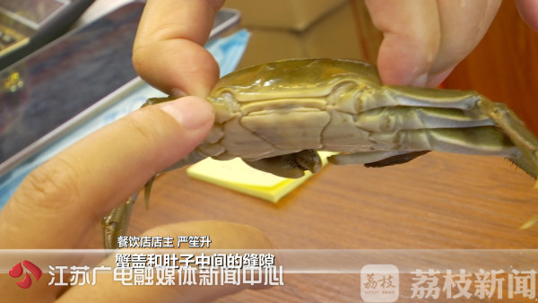 秋季正是吃蟹的季节,金秋时节食蟹正当时