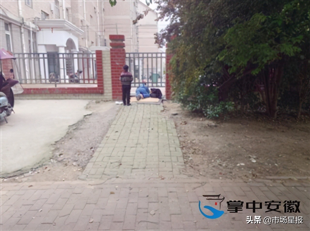 「星报调查」有大门不走，合肥这个小区业主偏爱翻围墙？