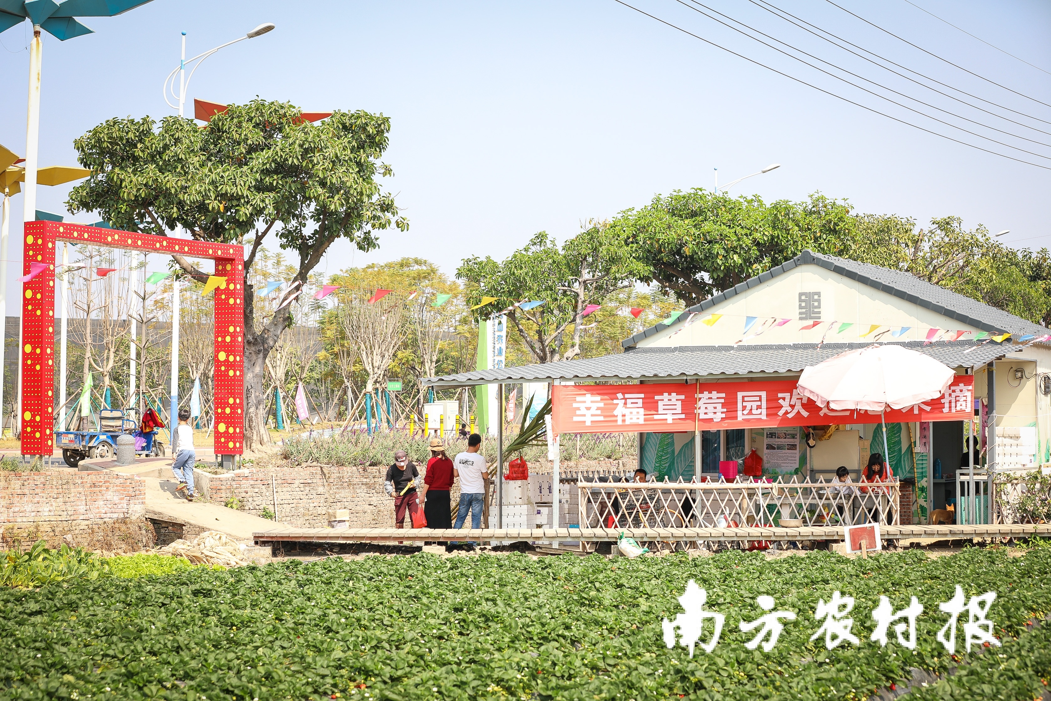 留粤过年奖金高，外卖骑手小哥来年想带个女朋友回家