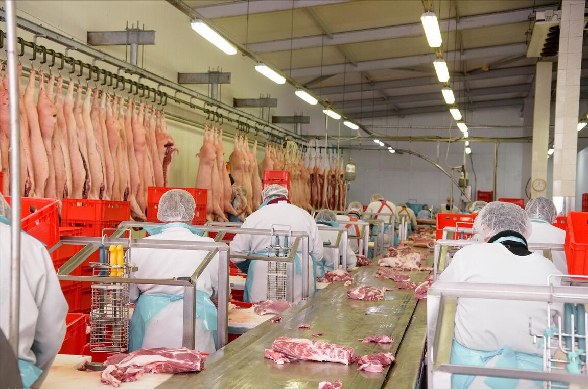 全自动杀羊,杀羊正常吗