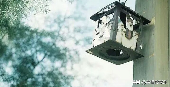 所谓知己,所谓知己是什么