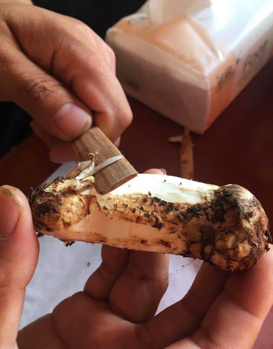 人工新鲜松茸怎么保存最好,新鲜的松茸菇怎么保存