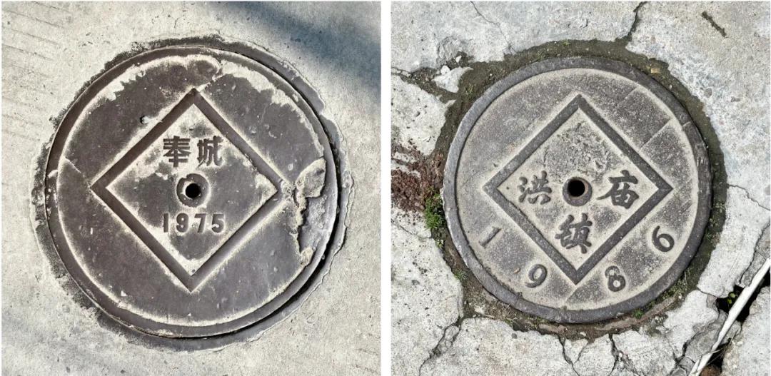 不要错过上海的春天,不要错过上海的夏天