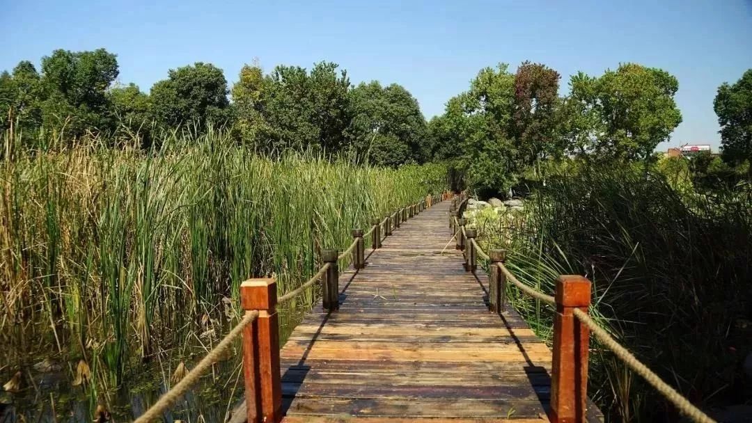 芜湖户外好去处,芜湖十大避暑景点