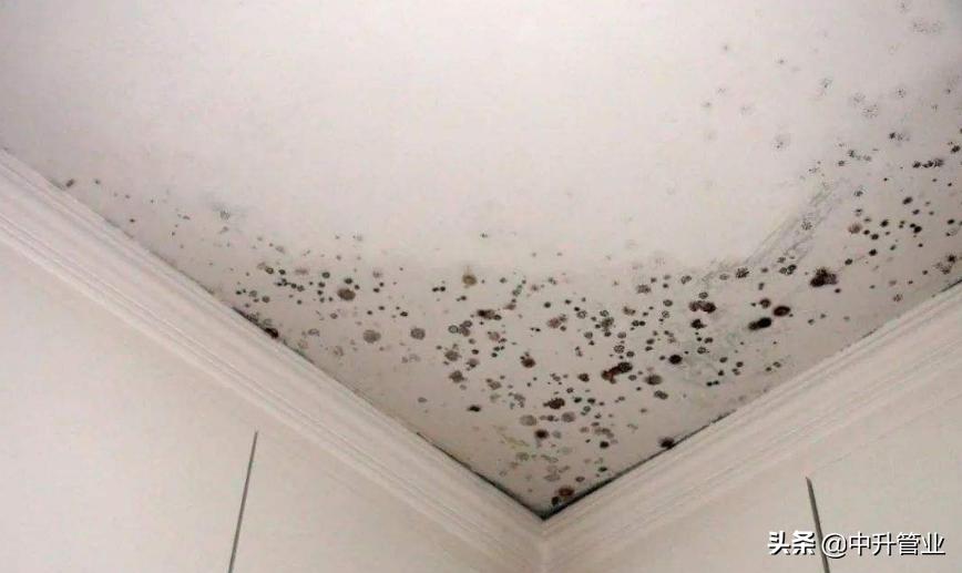 水管里的青苔是霉菌吗,水管有霉菌怎么治疗