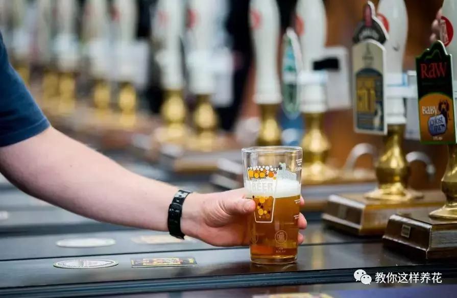 淘米水养鱼有什么效果,淘米水浇什么最旺