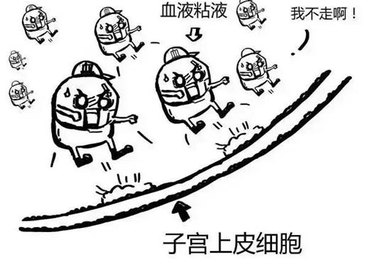 狗狗也会有姨妈期,狗狗也会有生理期吗