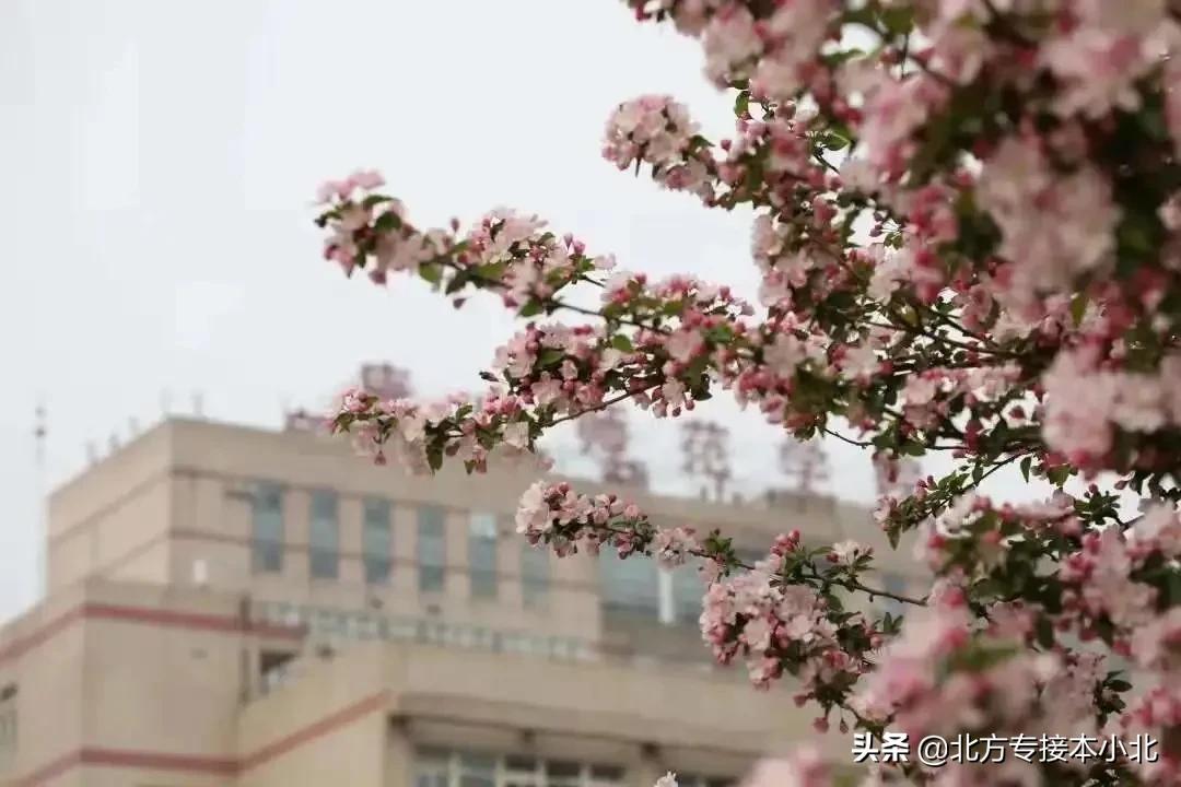 唐山师范学院有二本吗,唐山师范学院是重点二本吗