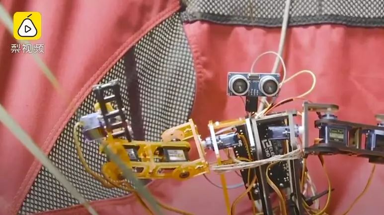 这个华裔姑娘造了个“机器人男友”:他比前任懂我……