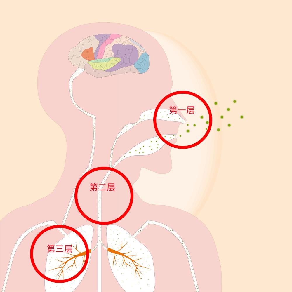 戒烟之后,变黑的肺还能白回来吗?