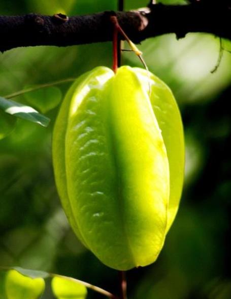 为人处世记住这五大忠告,老人言做人八大忌