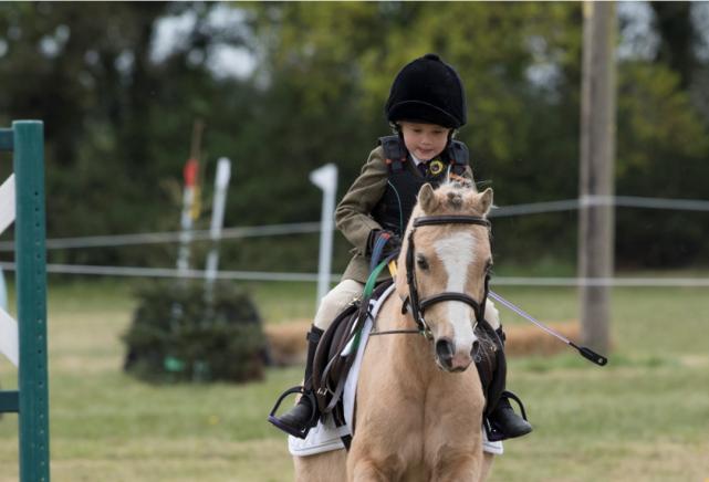 逐渐兴起的Pony和澳洲小马俱乐部体系路在何方？