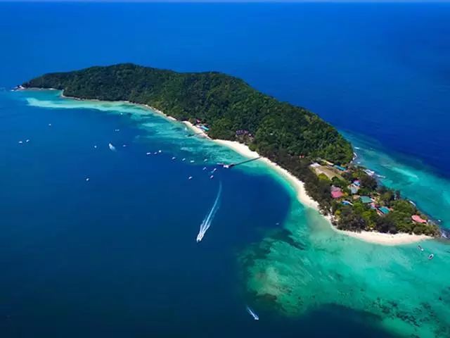 沙巴美食大起底亚庇美食一日游 (沙巴旅游攻略小吃夜市)