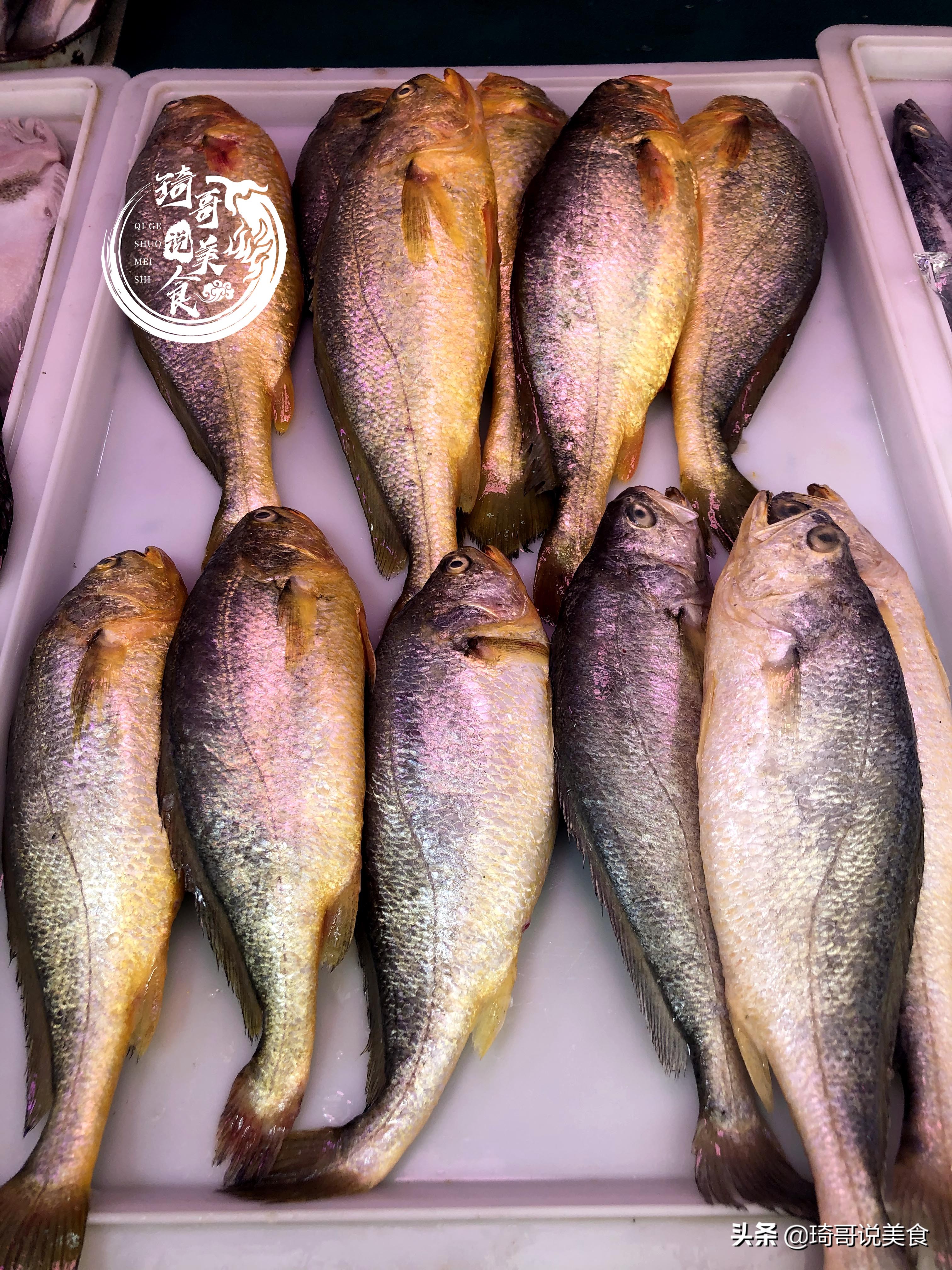 八种好养的野生鱼,哪种鱼又便宜又好养