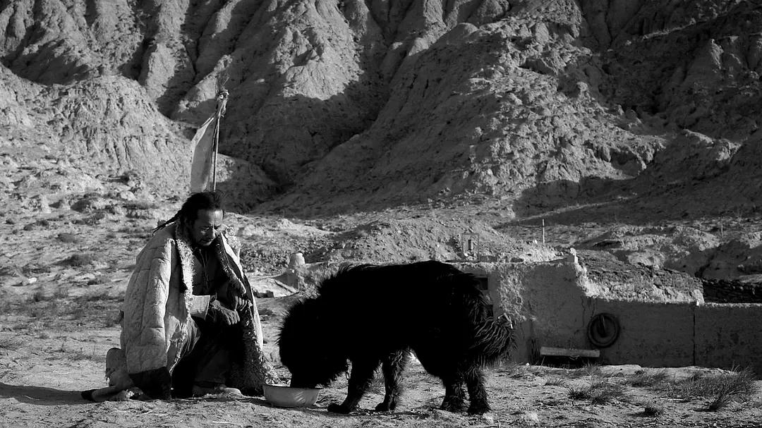 40岁牧羊人被发廊妹骗去16万血汗钱，这电影后劲太大