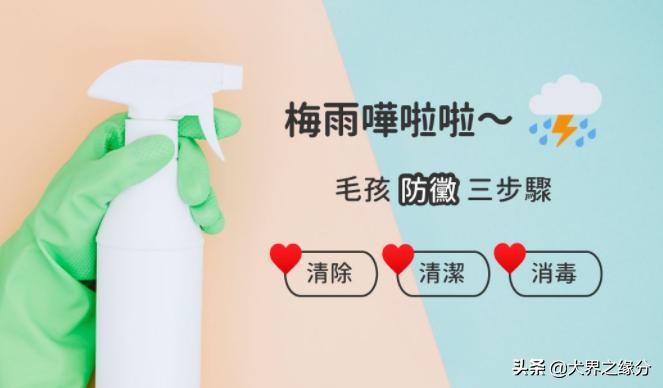 天气干燥宠物注意什么,养了宠物如何除菌