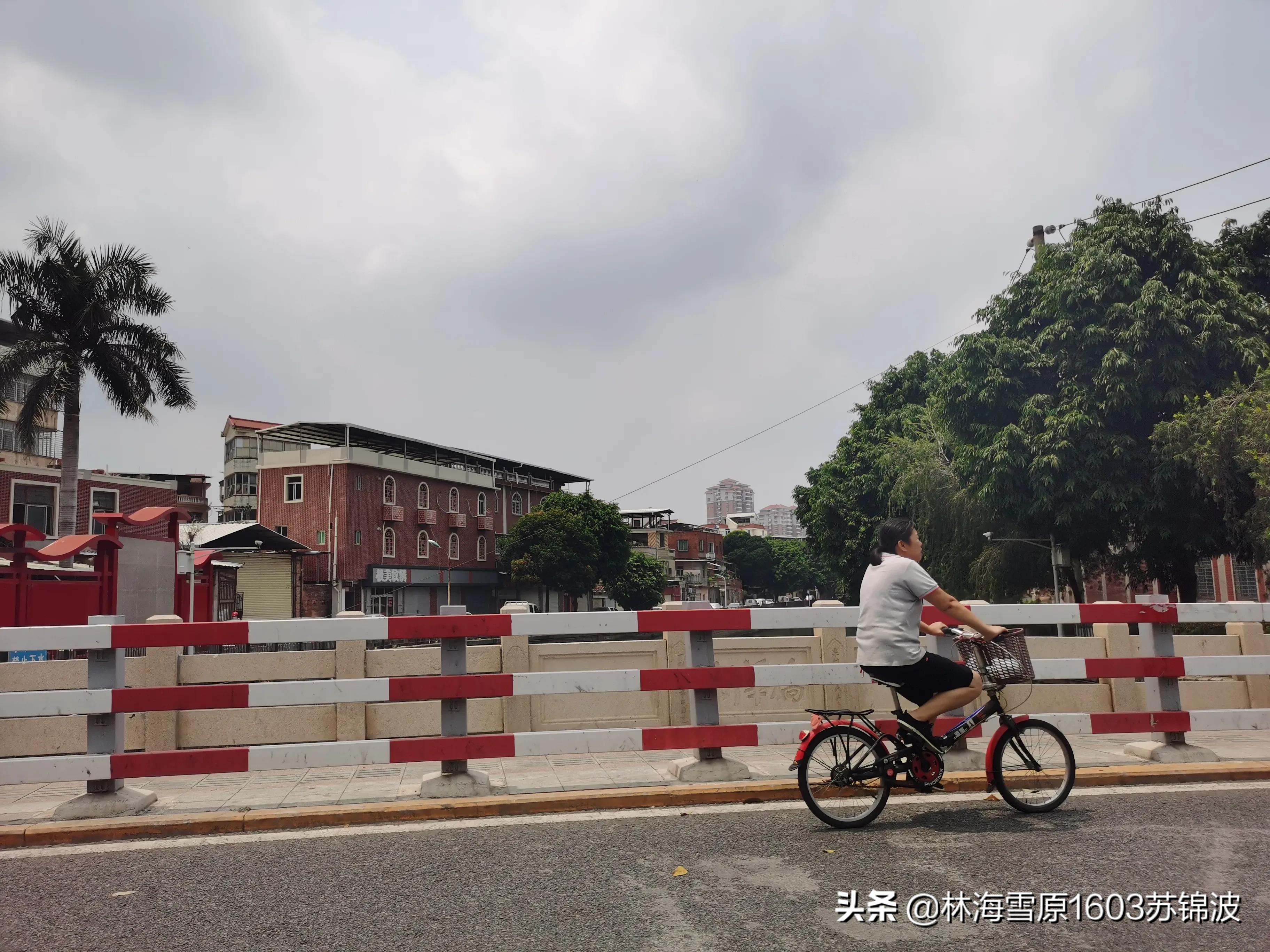 泉州芳草园最新消息,泉州芳草园附近风景