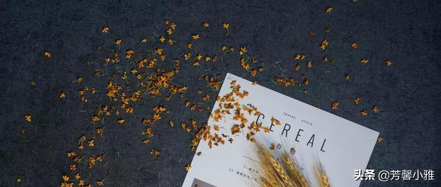 人的幸福感取决于什么名言警句,幸福感往往取决于安静