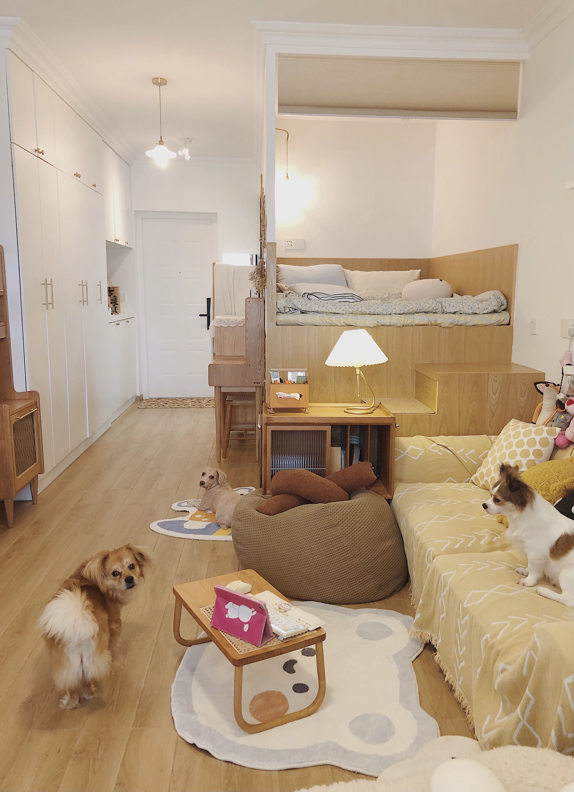 家装小白也能轻松搞定,最实用的小家装修