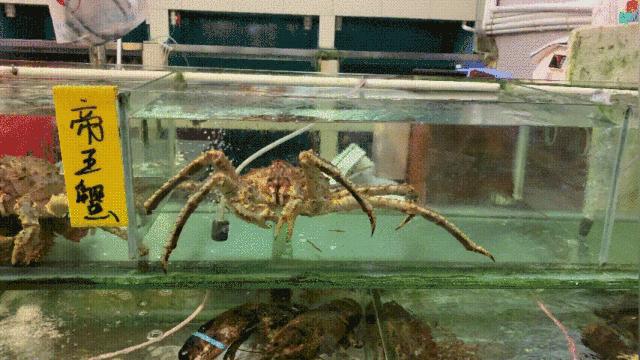 去蛇口玩吗,深圳蛇口值得去吗