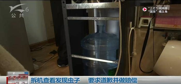 饮水机里全是蟑螂,饮水机里有蟑螂的处理方法