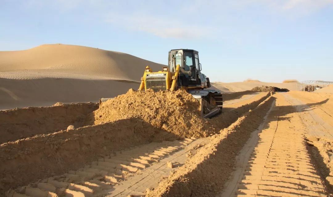 沙漠种植致富经验,沙漠变良田投资4万亿