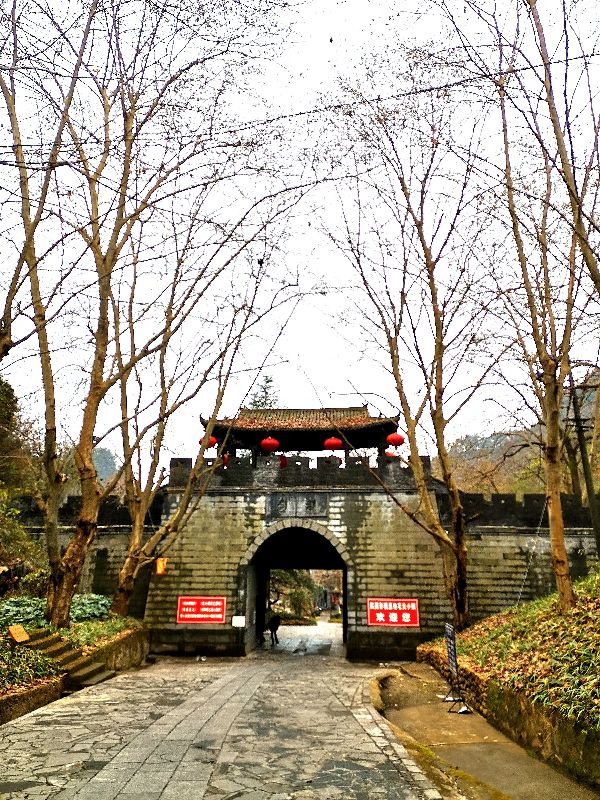 都匀茶旅小镇,都匀毛尖茶园基地游玩