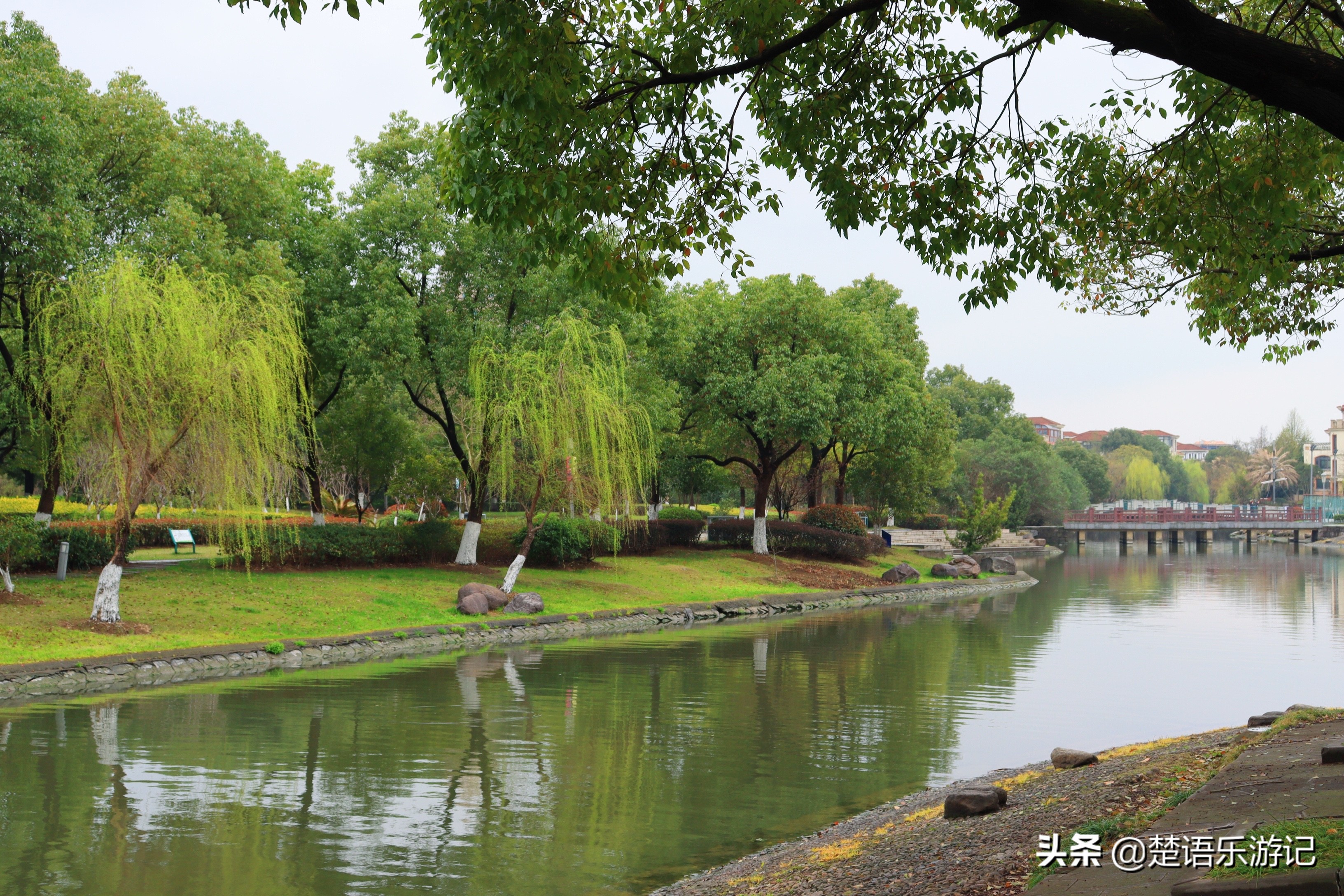 宁波免费的公园有哪些,宁波值得去的公园排行榜