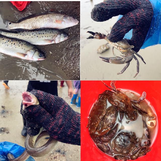 想旅行何须舍近求远，周末两天一夜亲海之旅美食美景一网打尽