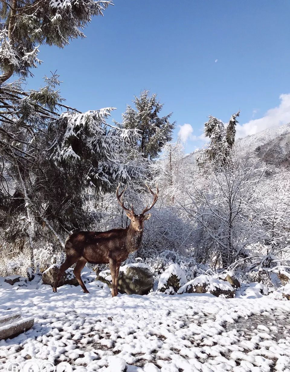 成都附近看雪一日游推荐表,成都周边轻徒步玩雪一日游