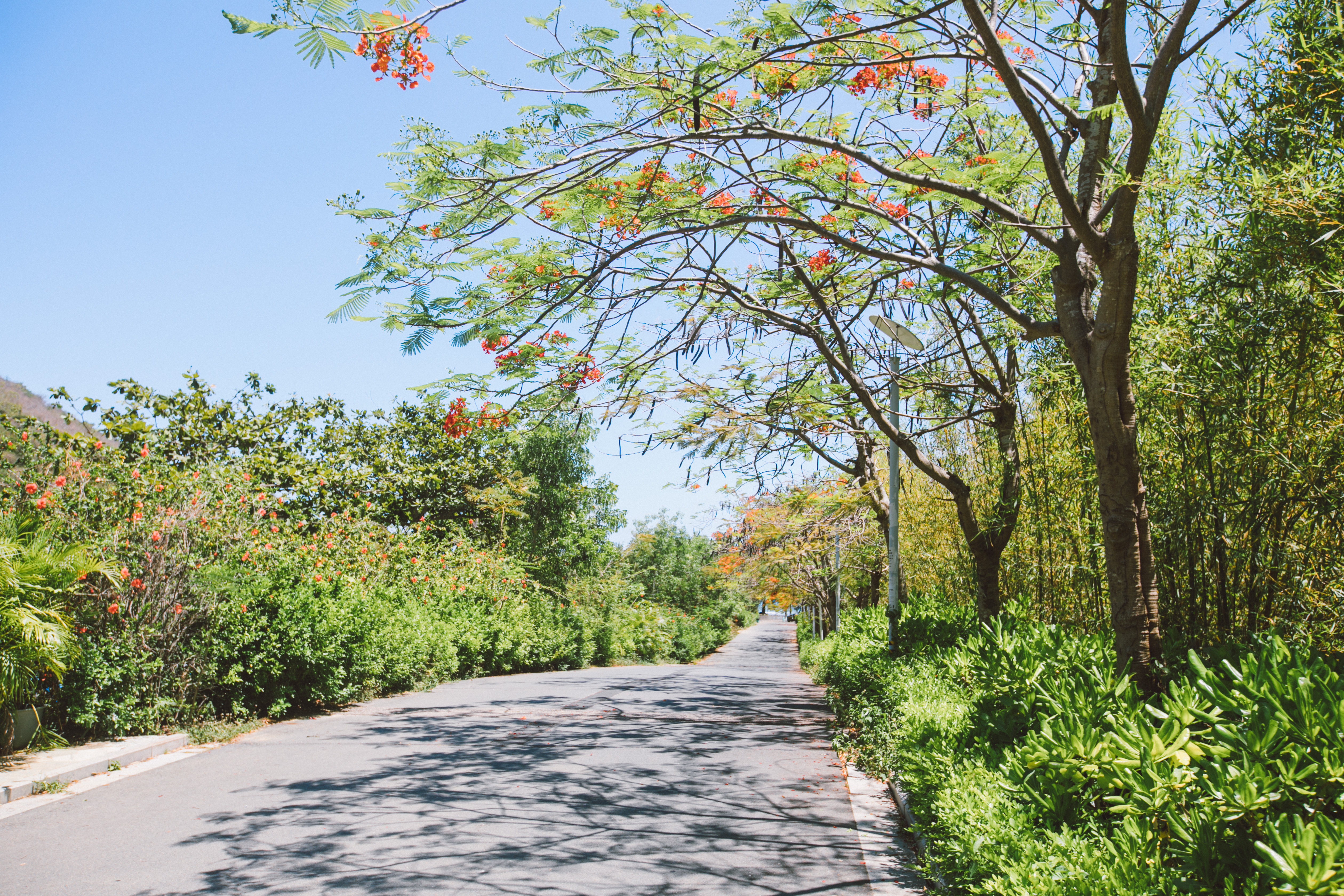 三亚冷门海滩,三亚海滩免费景点