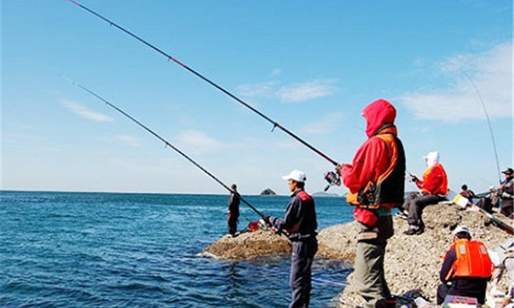 手竿钓鲢鳙7米2选择什么鱼竿,钓翘嘴9米鱼竿和10米鱼竿选择